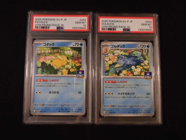 PSA 10 Pokemon Card Psyduck Golduck GYM Promo SEQ set 262/SV-P