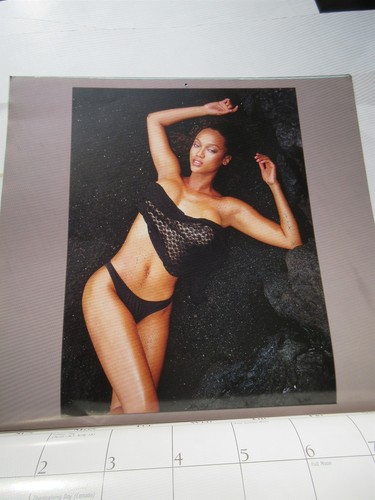 Tyra Banks 16-Monatskalender 2000 mit Poster von Day Dream Brand - RAR  - Bild 9 von 12