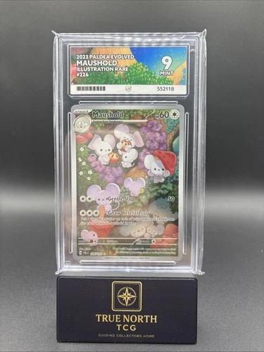 Maushold #226 Illustration Rare - Paldea Evolved - Ace 9