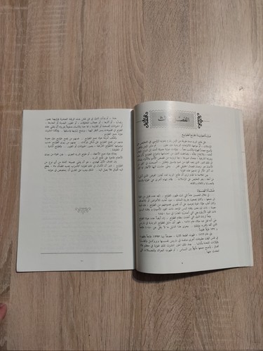 Arabic Book Stamp collecting guide كتاب دليل هواية جمع طوابع البريد 📚 - Afbeelding 12 van 20