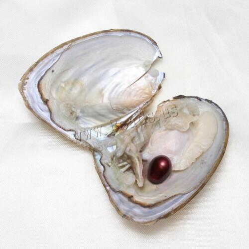 50PCS Akoya Fresh Oysters with Pearls Freshwater Pearl Individually Wrapped Gift - Picture 2 of 8