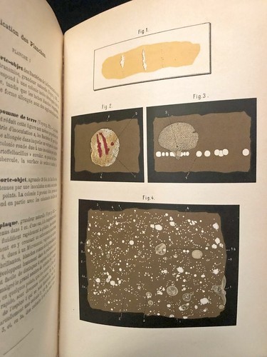 1887 Buch Manuel Technique de Microbiologie, Dr. E Van Ermengen, illustriert 475p - Bild 9 von 10