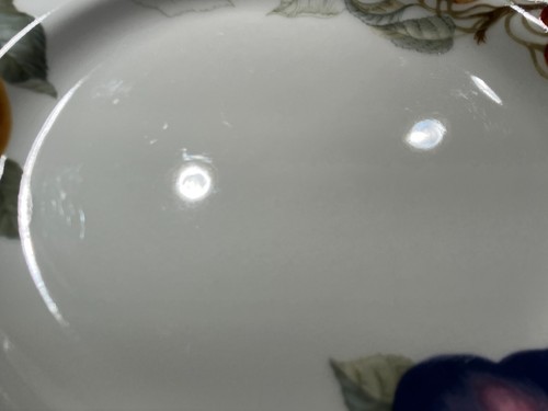 BEST DEAL! FREE SHIP! Charter Club Summer Grove Dinner Plate - seven available - Picture 8 of 10