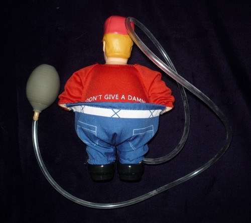 Lot of Trump collectible paraphernalia; Moonie Trump, Chosen One doll and T.P. - Picture 4 of 6