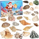 Seashells Advent Calendar 2025, 24 Day S of Christmas Countdown Gift, Marine She