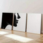3pcs Black & White Abstract Woman Silhouette Wall Art Canvas Framed 50x70cm