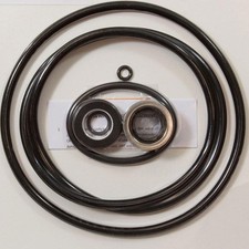 All Seals O-Ring Kit Sta-Rite Max-E-Pro Pump Rebuild Kit (AS-258LE)