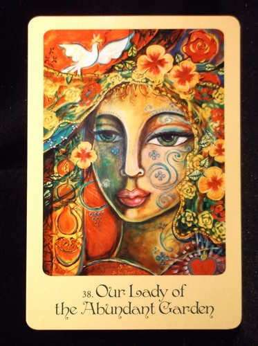 SEALED NEW ~ MOTHER MARY CARD & BOOK ORACLE FOR PROTECTION MIRACLES & GRACE - Imagen 9 de 12