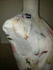 Bild 12 von 14