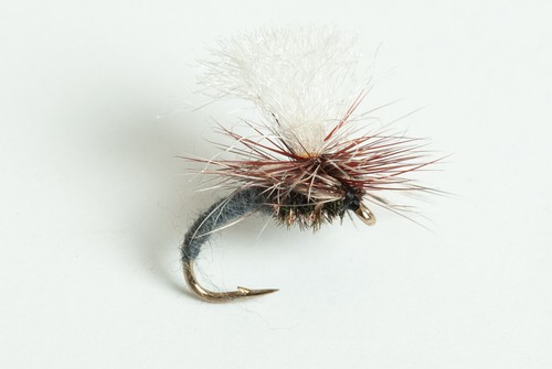 Klinkhammer Wet Fly, 6-Pack - Adams, BWO & Brown - Picture 5 of 6