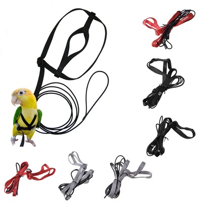 parrot leash