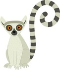 4” Lemur Sticker Cute Ringtail Madagascar Monkey Island