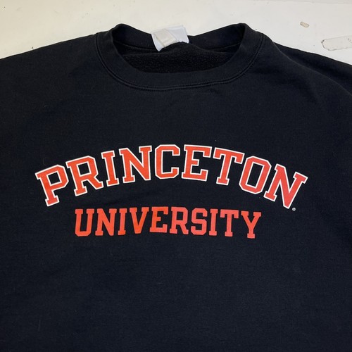PRINCETON UNIVERSITY College Pullover Crewneck CHAMPION SWEATSHIRT Sz Mens L - Picture 1 of 5