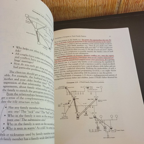 Textbook Genograms: Assessment and Intervention 2nd Edition 1999 - Picture 4 of 14