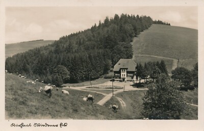 AK, Höhenkurort u. Wintersportplatz Wiedener Eck (S1711)