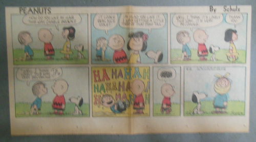 Erdnüsse Sonntagsseite von Charles Schulz vom 2.8.1959 Größe: ~7,5 x 15 Zoll