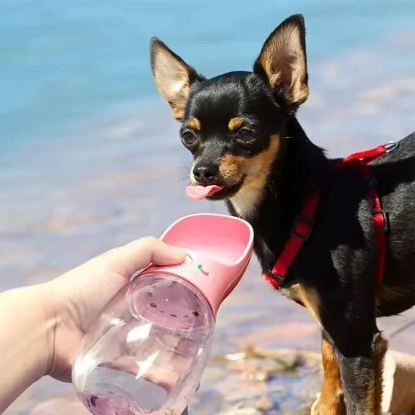 Tragbare Hundetrinkflasche und Futterbehälter – Reisewasserflasche mit Napf - Bild 2 von 4