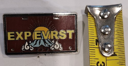 Disney Trading Pin 00009 Expedition Everest License Plate Mini WDW EXPEVRST - Picture 3 of 6