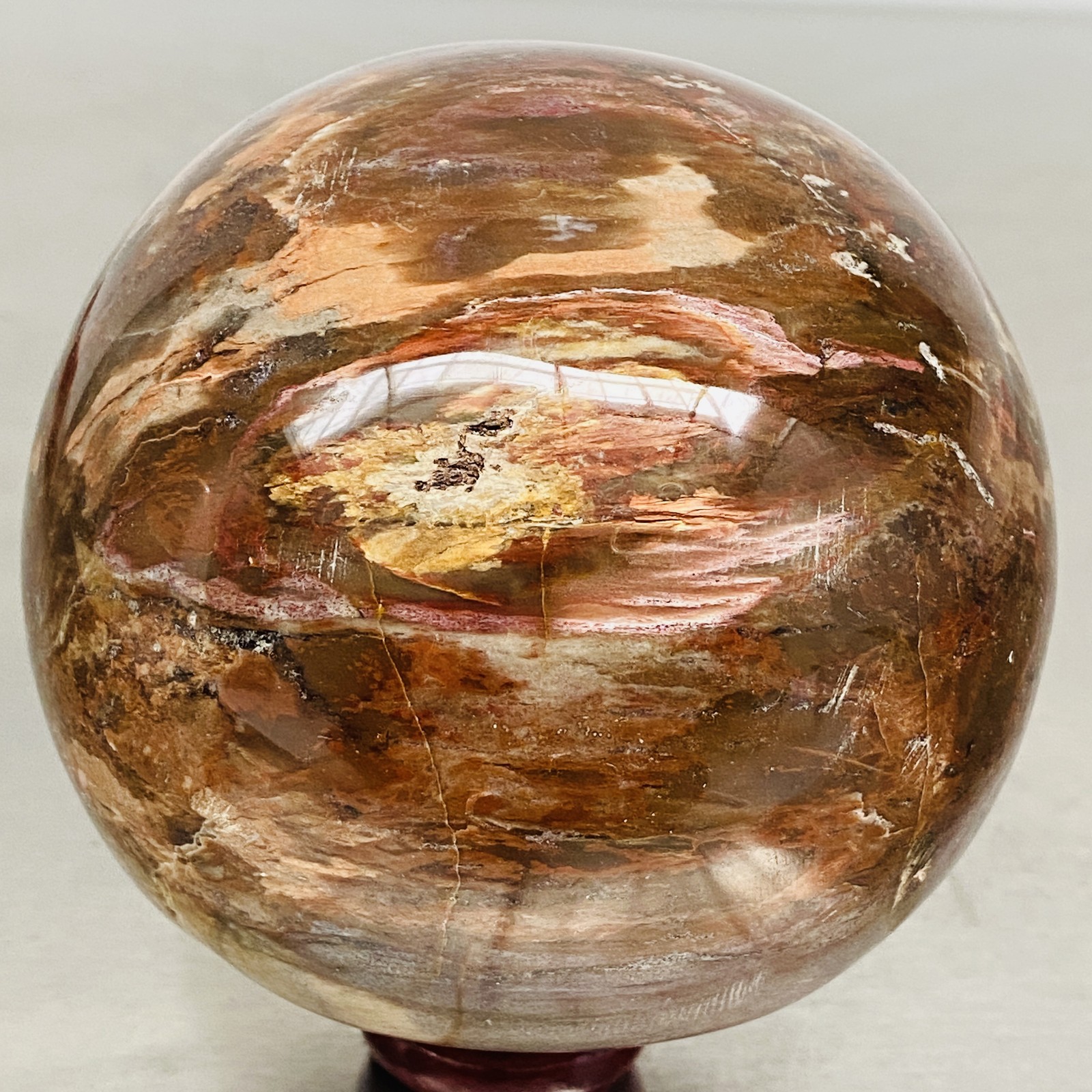 Natural Petrified Wood Polished Stone Quartz Crystal Sphere Ball Healing 1580G