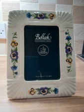 Belleek Enchated Garden Millennium Picture Frame 4"x 6"