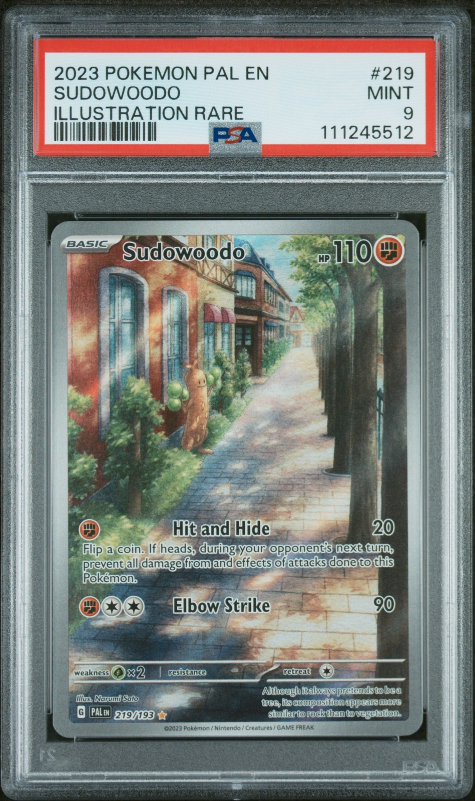 Sudowoodo #219