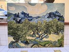 Foto 9 di 24