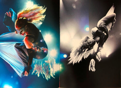 ANASTACIA * LIVE AT LAST EUROPEAN TOUR PROGRAMME w/ STUB * 2005 * HTF! - Picture 5 of 9