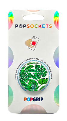 robusta photinia Photinia robusta – The Plant Broker main image 0