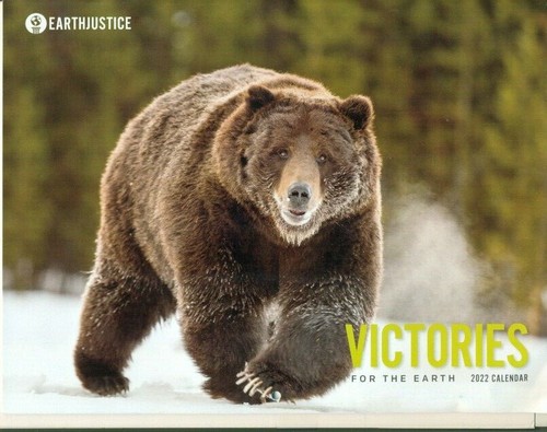 CALENDARIO COLECCIONABLE-2022-JUSTICIA TERRESTRE-VICTORIAS PARA LA TIERRA-OSO-TORTUGA-PEZ - Imagen 1 de 2