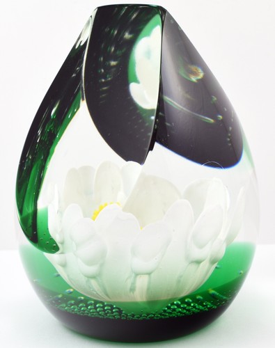 Caithness Limited Edition 200/350 Daisy Daisy Domed Glass Paperweight - Picture 5 of 6
