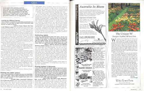 Fine Gardening Magazine Jun 1992 Lilacs Annual Vines Pruning Shears Veronicas - Picture 4 of 7