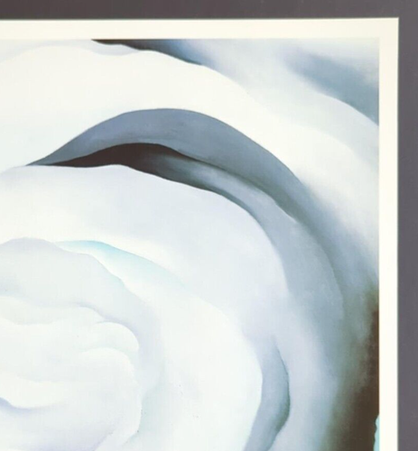 Georgia O' Keeffe Abstraktion weiße Rose botanische Blumen Kunstdruck Buchteller 40 - Bild 4 von 5