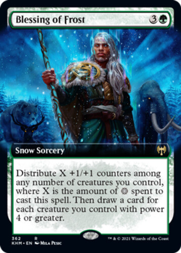 x1 Blessing of Frost - Extended Art R MTG Kaldheim M/NM, English - Picture 1 of 1