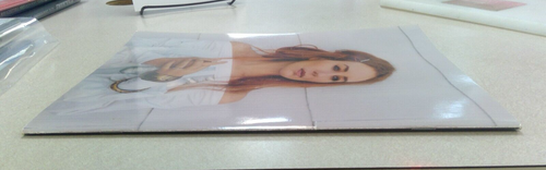 2002 Tori Amos Concert Program Scarlet Walk - Picture 8 of 14