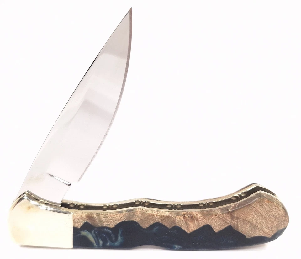 Navaja de bolsillo Buck Custom 2017 edición limitada con bloqueo de una sola hoja con caja 40957 Foto 4 de 4