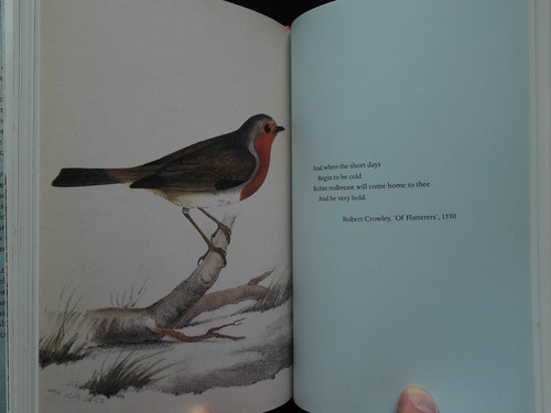 SIGNED; The Robin: A Biography - Stephen Moss (2017-1st) Bird - Year in the Life - Picture 10 of 14