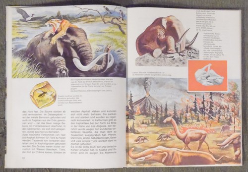 Was ist Was Band 38 , Prähistorische Säugetiere , Tessloff Verlag , HC , 1968 - Imagen 9 de 12