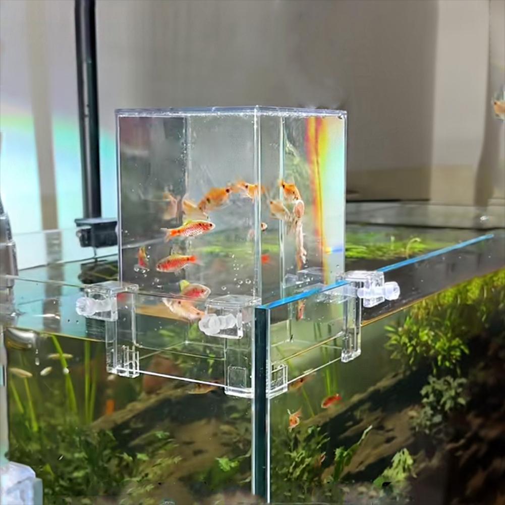 Above Water Fish Tank, Fish Elevator Inverted Aquarium, Transparent Fish  Tank | Ebay