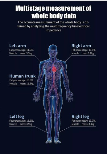 inBody Health Analyzer Machine Body Composition Scan Fat Scale Weight Analyse - Picture 12 of 24