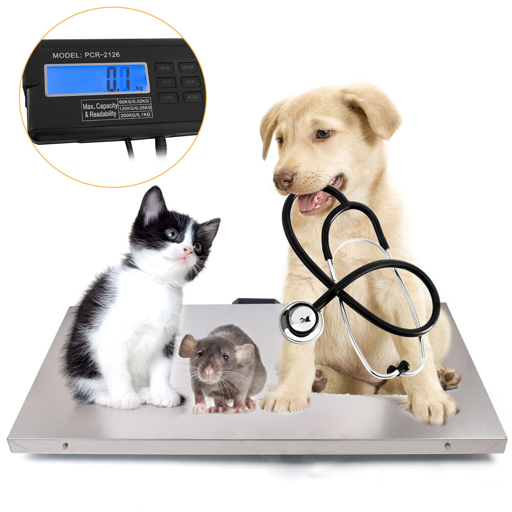 440lbs Bench Digital Platform Scale Livestock Vet Dog Pig Animal Weighing Scale | eBay 440lbs Bench Digital Platform Scale Livestock Vet Dog Pig Animal Weighing Scale | eBay