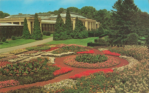 Blumen in Longwood Gardens Kennett Square PA Vintage Postkarte - Bild 1 von 2