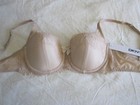 Foto 15 di 62