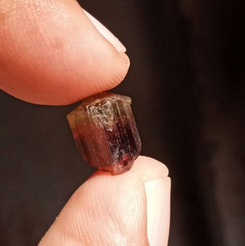 5.6 Carat 9.8x8x7.5 MM Natural Watermelon Bi Color Tourmaline Raw Rough Gemstone - Picture 4 of 16