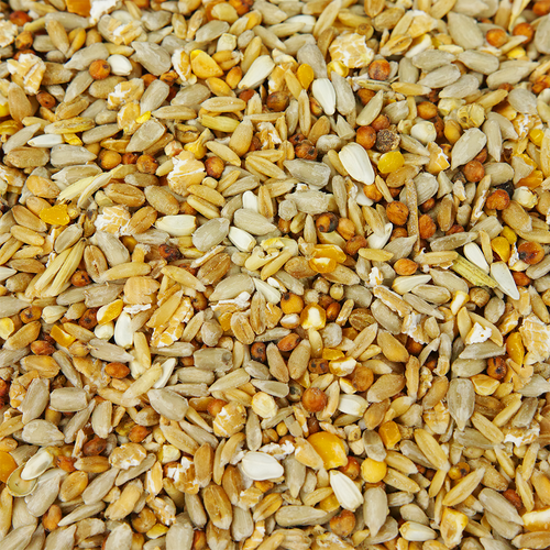 GardenersDream No Mess Seed Mix - All Year Round Wild Bird Food For Garden Birds - Picture 10 of 30