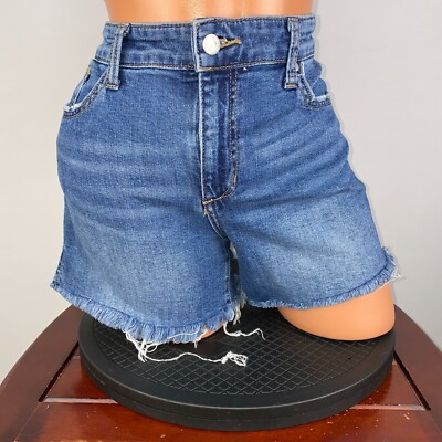 Joe's Jeans 4'' Short In Atwater Wash Womens 28 Cutoffs Fringe Hems Slit Sides