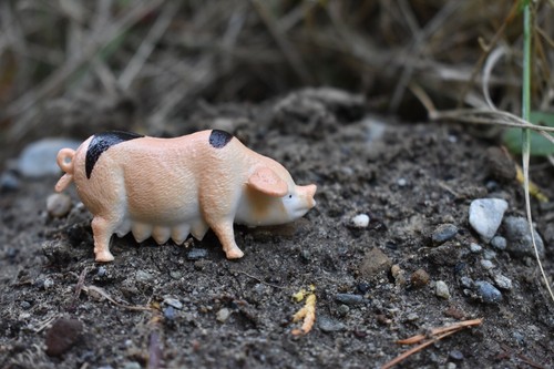 Pig, Sow Realistic Small Toy Model Plastic Replica Barn Animal 2" F1852 - Bild 8 von 9