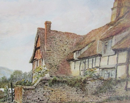 1906 Bauernhaus in Pershore, Worcestershire antiker Druck. Sonnenblumen im Garten. - Bild 3 von 3