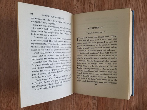 Vintage Gumpy - Son of Spunk by Arthur C. Bartlett - Picture 8 of 24