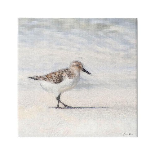 Sandpiper Bird Canvas Art Print Ready to Hang Coastal Wall Decor by Denise Brown - Picture 2 of 8