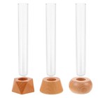 3 Pcs Test Tube Vase Plant Propagation Station Glass Terrarium Tubes